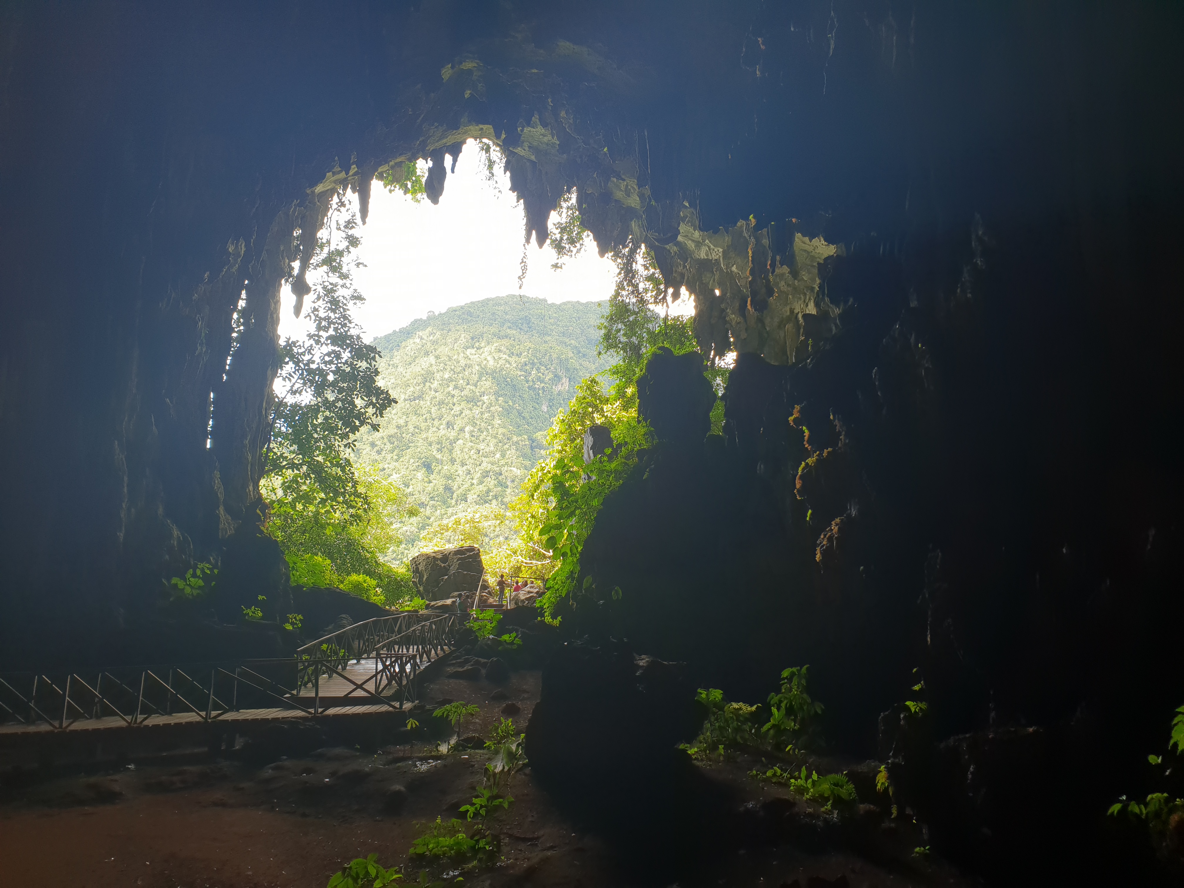 Cueva de las Lechuzas